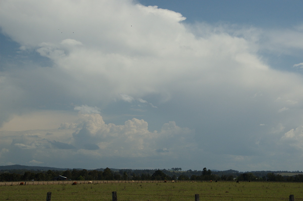 thunderstorm cumulonimbus_calvus : N of Casino, NSW   21 September 2008