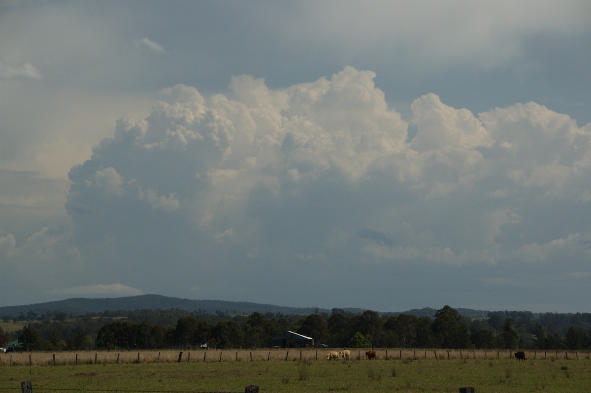 thunderstorm cumulonimbus_calvus : N of Casino, NSW   21 September 2008