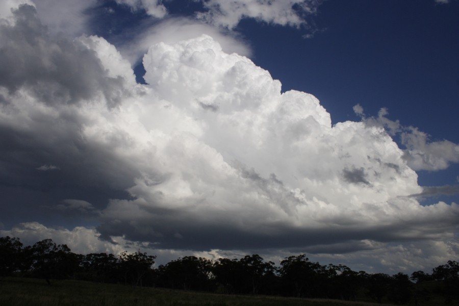 thunderstorm cumulonimbus_calvus : E of Merriwa, NSW   5 October 2008