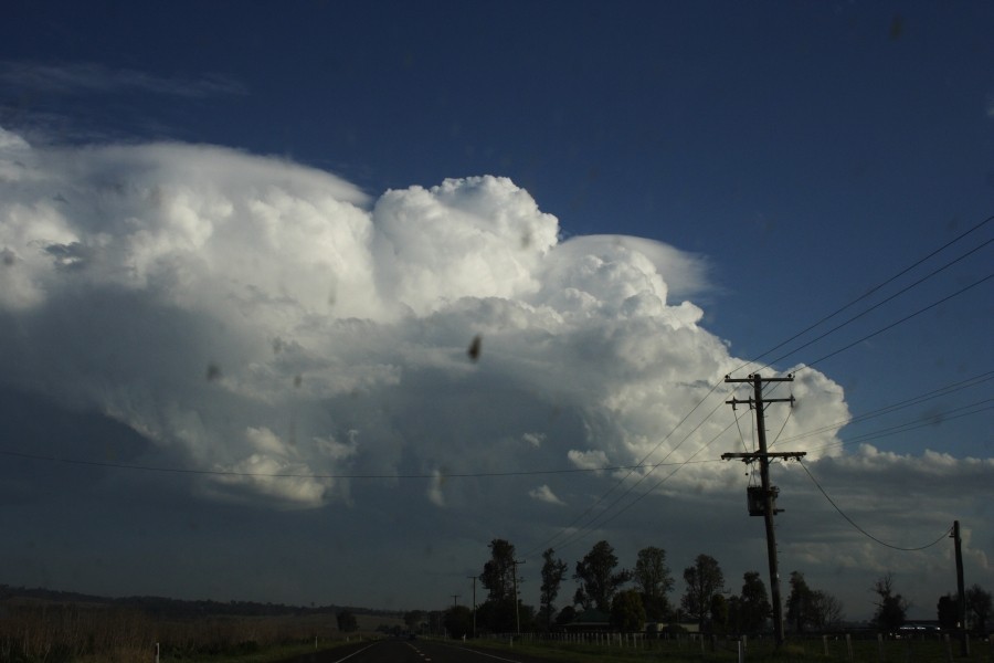 thunderstorm cumulonimbus_incus : near Aberdeen, NSW   5 October 2008