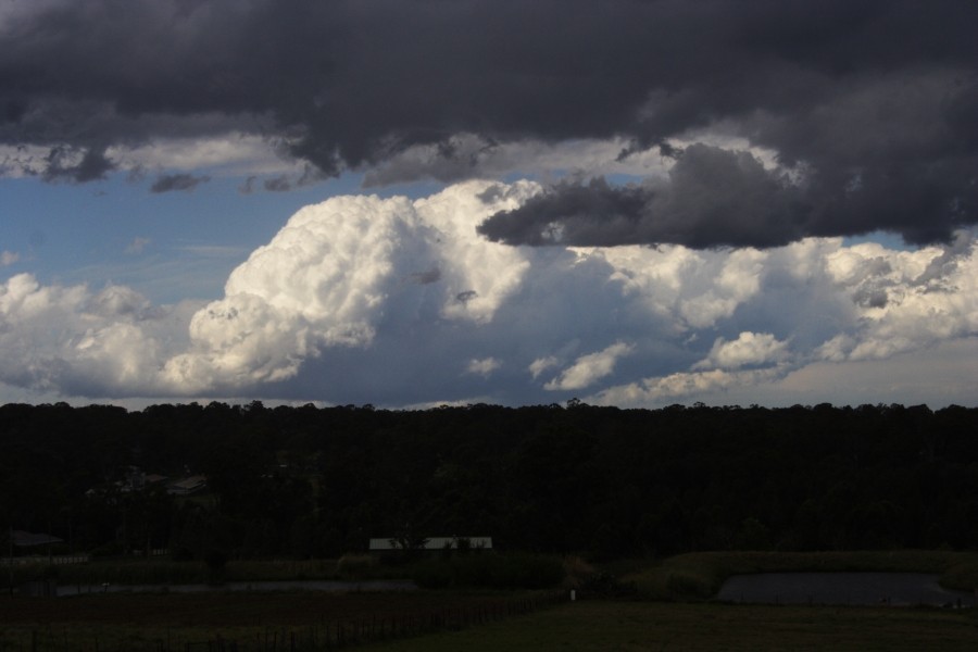 thunderstorm cumulonimbus_calvus : Schofields, NSW   6 October 2008
