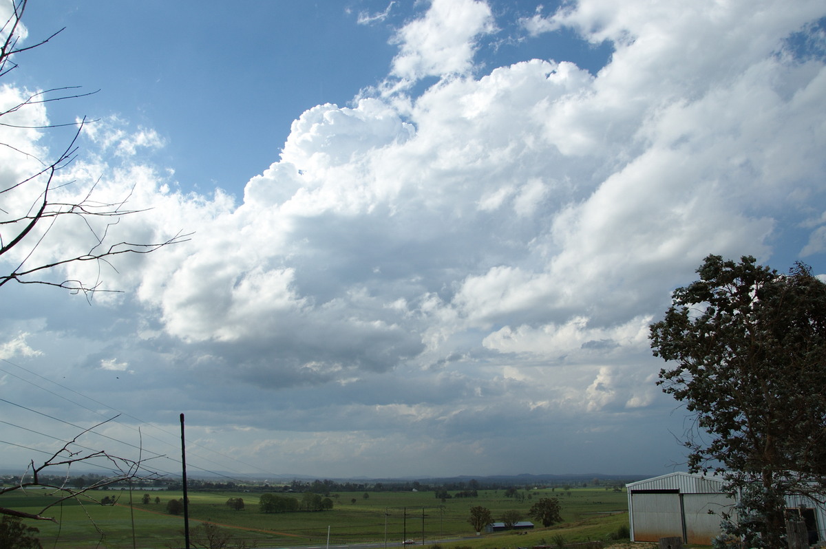 thunderstorm cumulonimbus_calvus : near Grafton, NSW   21 October 2008