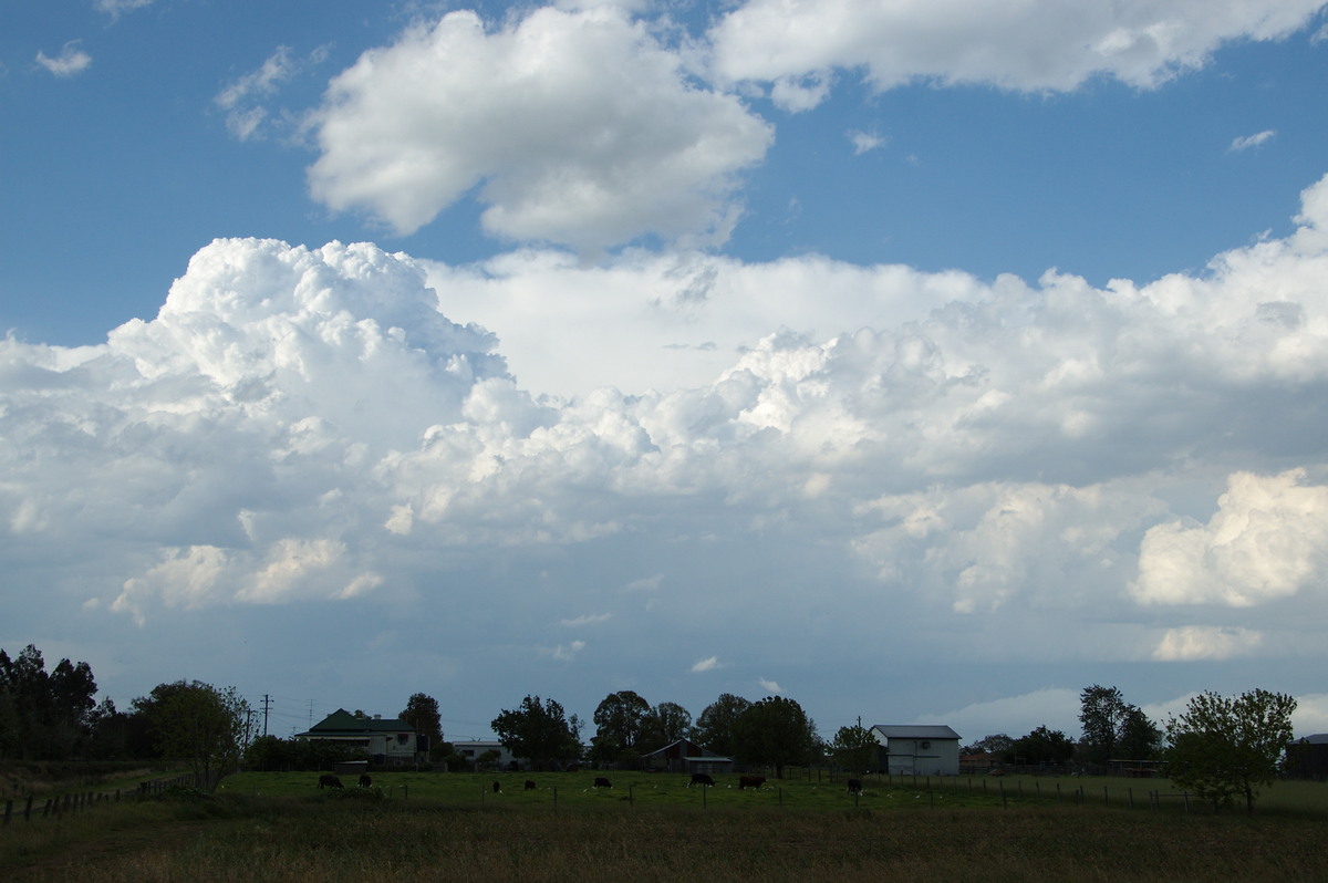 thunderstorm cumulonimbus_calvus : Cowper, NSW   21 October 2008