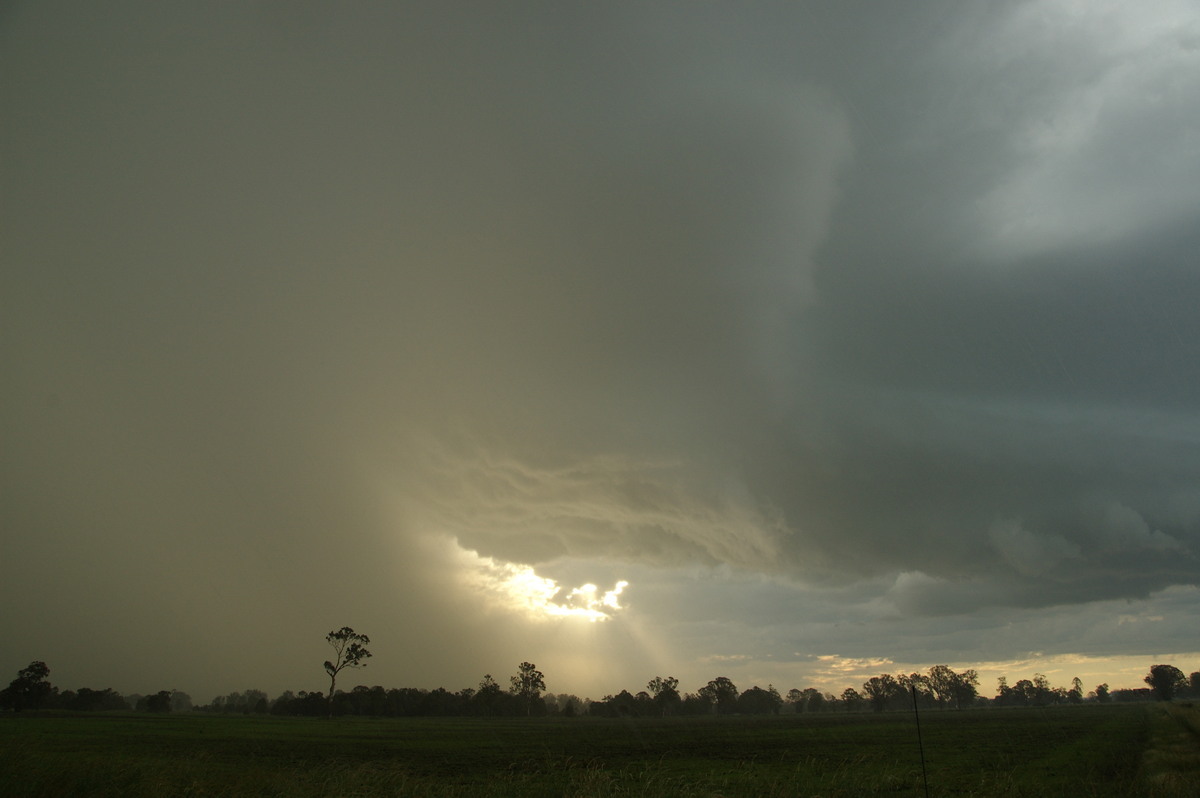 cumulonimbus thunderstorm_base : McKees Hill, NSW   10 December 2008