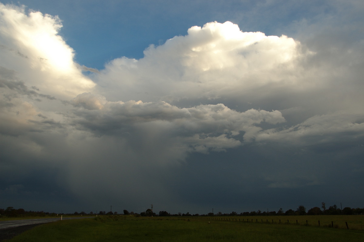 thunderstorm cumulonimbus_calvus : Clovass, NSW   10 December 2008