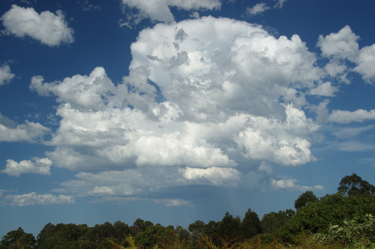 cumulus humilis : McLeans Ridges, NSW   19 December 2008