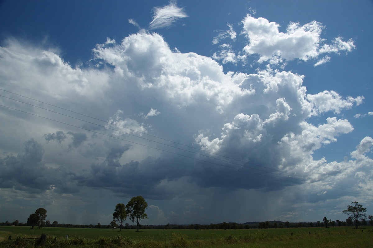 thunderstorm cumulonimbus_calvus : Shannon Brook, NSW   16 January 2009