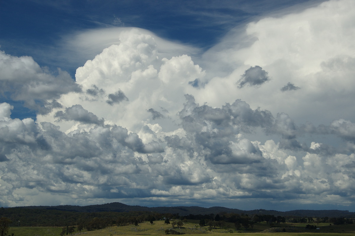 thunderstorm cumulonimbus_calvus : Tenterfield, NSW   24 January 2009
