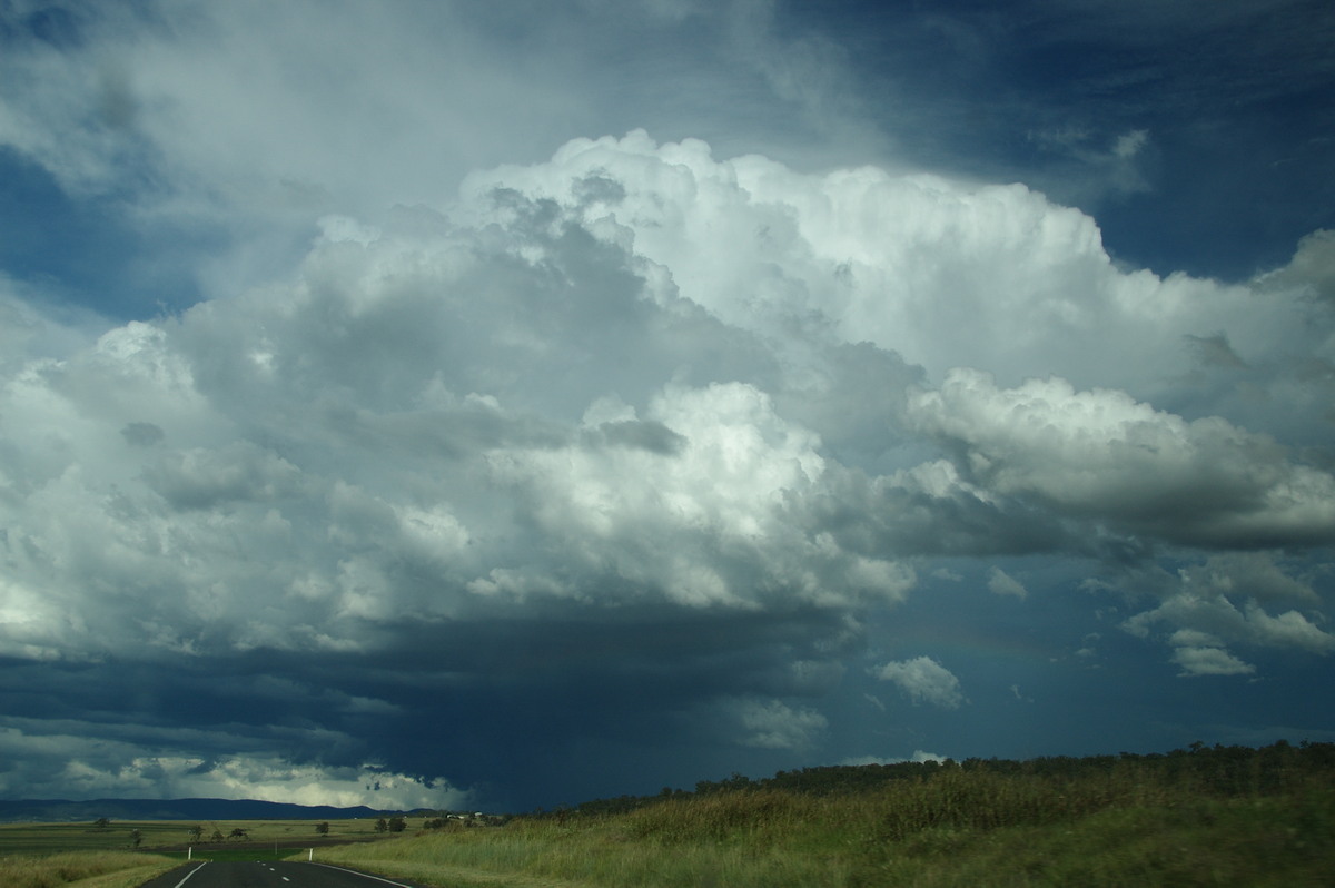 thunderstorm cumulonimbus_calvus : near Warwick, QLD   24 January 2009