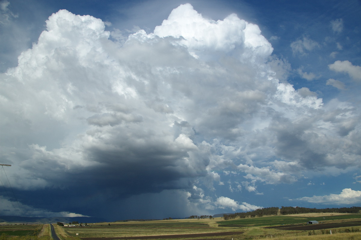 thunderstorm cumulonimbus_calvus : near Warwick, QLD   24 January 2009