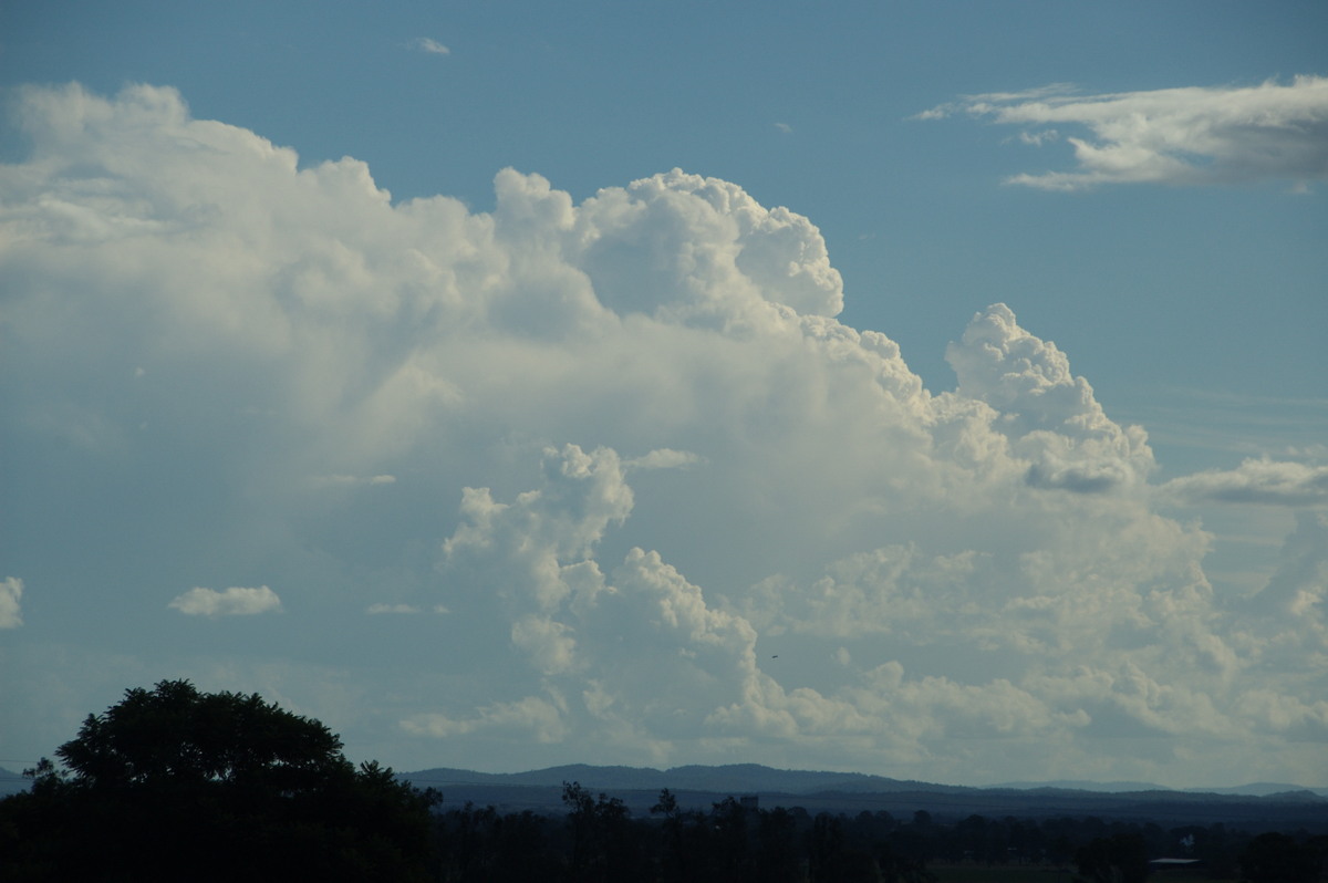 thunderstorm cumulonimbus_calvus : Spring Grove, NSW   15 March 2009