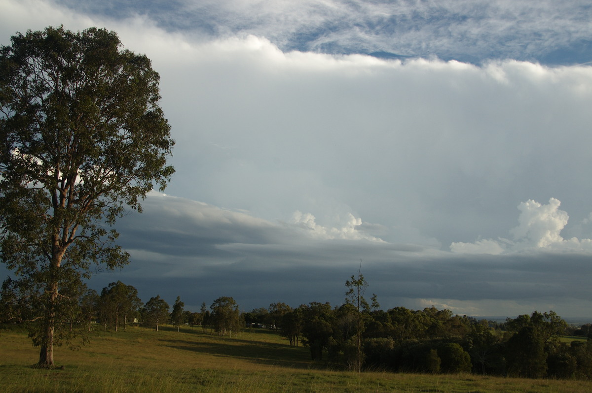 anvil thunderstorm_anvils : Junction Hill, NSW   15 March 2009