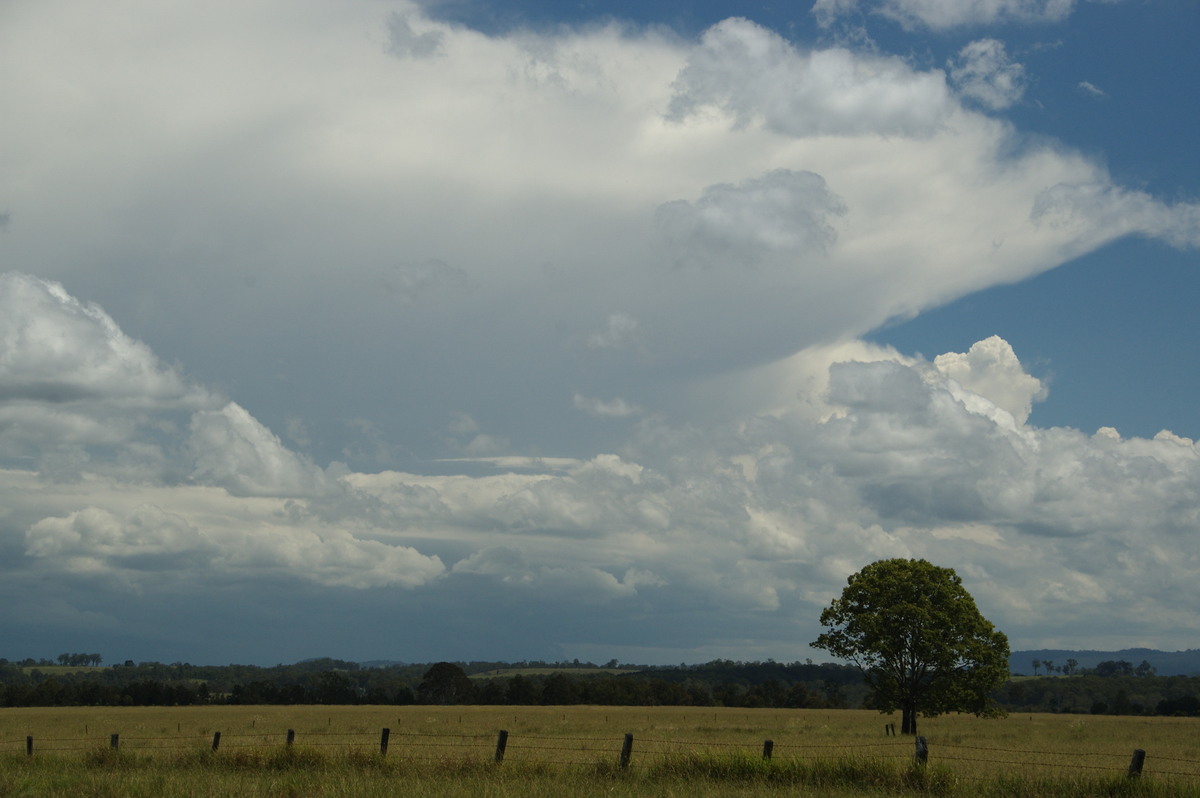 anvil thunderstorm_anvils : N of Casino, NSW   16 March 2009